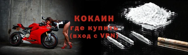 сатива Куйбышев