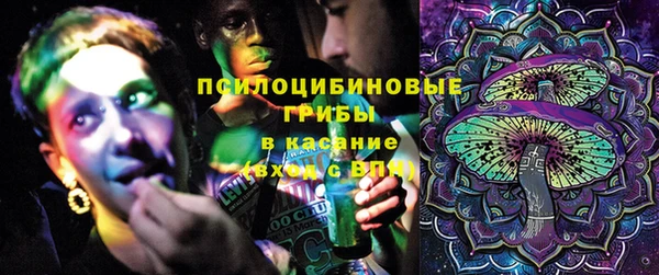 сатива Куйбышев