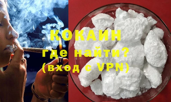 сатива Куйбышев