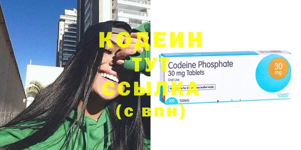 сатива Куйбышев